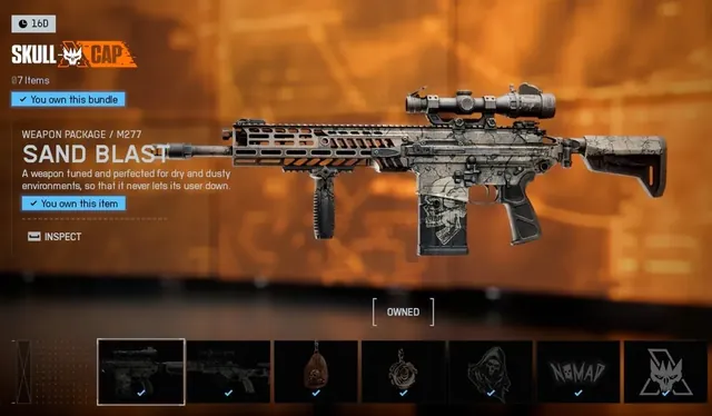 Skull Cap, bundle, from Penguin's in-game store screenshot
