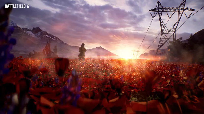 Official Battlefield 6 art: A lone soldier beyond a field of poppies